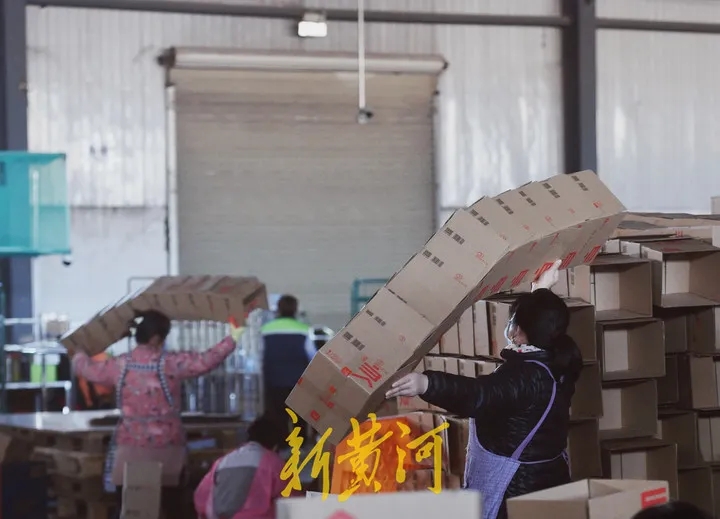 《新黄河》：2345万单！z6com.尊龙时凯物流“双十一”成就再攀新高