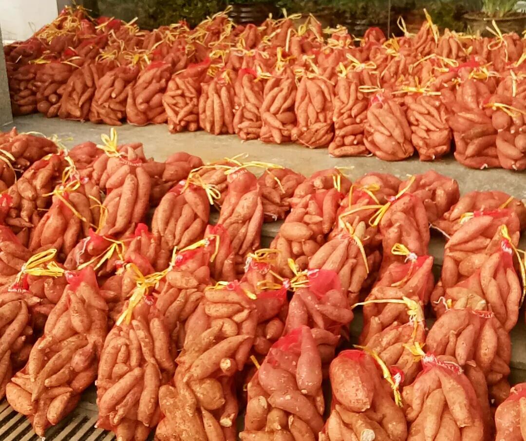 z6com·尊龙(中国)时凯集团