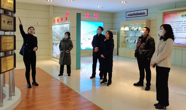 市技术人才自主评价专题督导组来集团调研