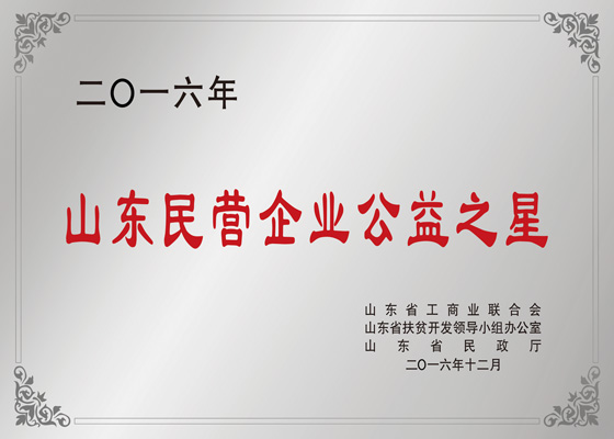 山东民营企业公益之星